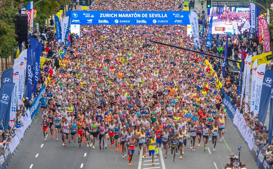 Seville Marathon 2026: Everything You Need to Know 11 Days Before Race Day Seville Marathon guide
